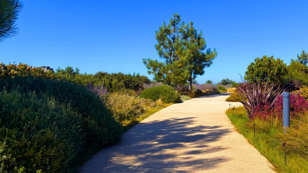 Walking path through the Presidio Tunnel Tops